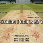 Why Cricket Pitch Is 22 Yards?