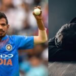Yuzvendra Chahal opens up about alcohol addiction, panic attacks and his 26-day rehabilitation stay